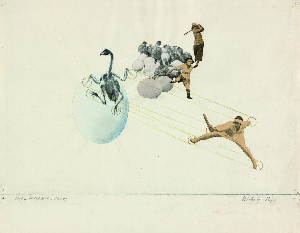 Once a Chicken, Always a Chicken by Laszlo Moholy-Nagy, 1925, photo montage, Los Angeles County Museum of Art